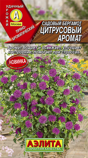 Семена садовый бергамот Цитрусовый Аромат, Аэлита: фото