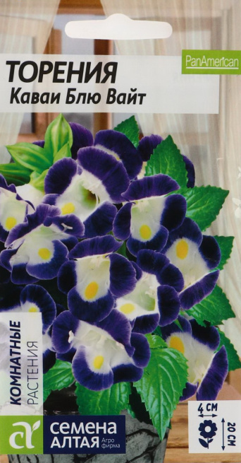 Семена торения Каваи Блю Вайт, Семена Алтая: фото