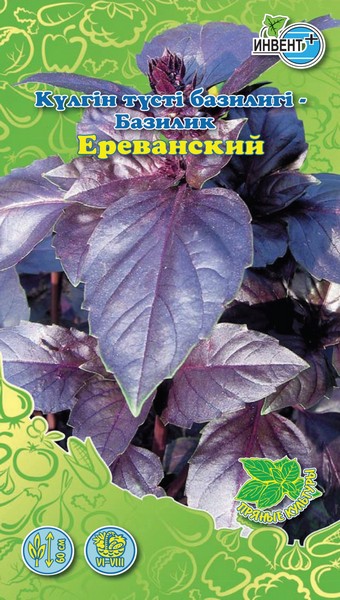 Базилик Ереванский ИНВЕНТ+: фото