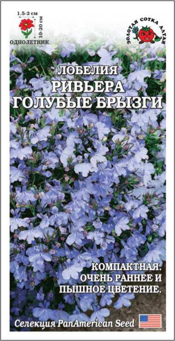 Семена лобелия Ривьера Голубые брызги, Золотая сотка: фото