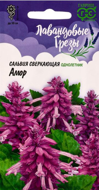 Семена сальвия сверкающая Амор, Гавриш: фото