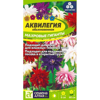 Семена аквилегия махровые гиганты, Семена Алтая: фото