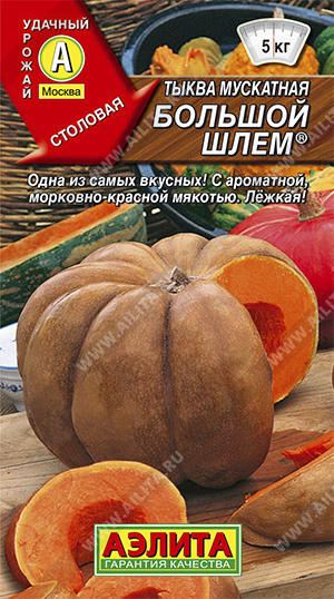 Семена тыква мускатная Большой Шлем, Аэлита: фото