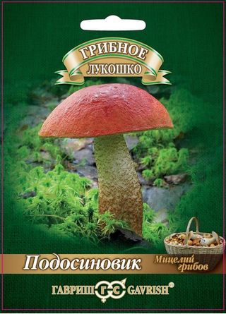 Мицелий грибов Подосиновик, Гавриш: фото