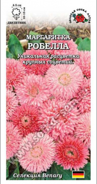Семена маргаритка Робелла, Золотая Сотка: фото