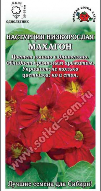 Семена настурция низкорослая Махагон, Золотая сотка: фото