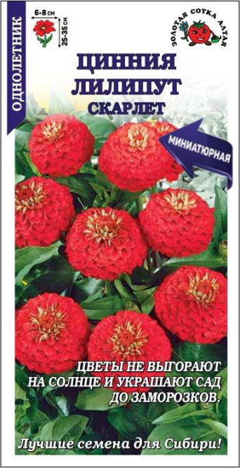 Семена цинния Лилипут Скарлет, Золотая Сотка: фото