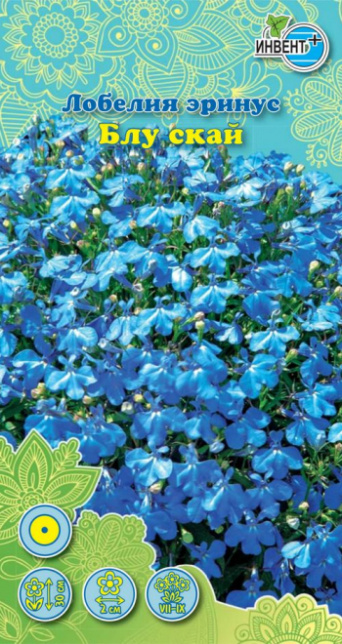 Лобелия эринус Блу Скай, ИНВЕНТ+: фото