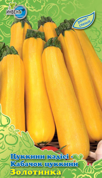 Кабачок цуккини Золотинка, ИНВЕНТ+: фото