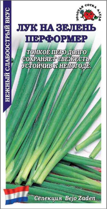 Семена лук на зелень Перформер, Золотая сотка: фото