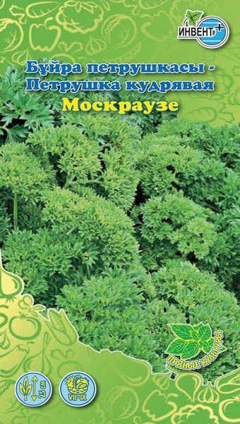 Петрушка кудрявая Москраузе, ИНВЕНТ+: фото