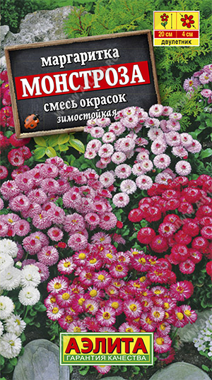 Семена маргаритка Монстроза смесь, Аэлита: фото