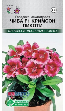 Семена гвоздика межвидовая Чиба F1 Кримсон пикоти, Евросемена: фото
