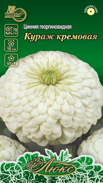 Цинния георгиновидная Кураж кремовая (серия ЛЮКС), ИНВЕНТ+: фото