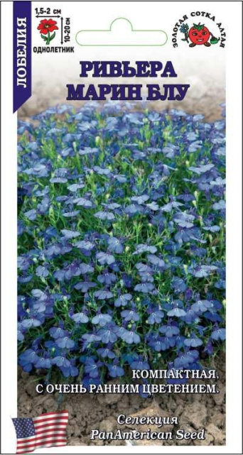 Семена лобелия Ривьера Марин блу, Золотая сотка: фото