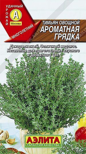 Семена тимьян овощной Ароматная Грядка, Аэлита: фото