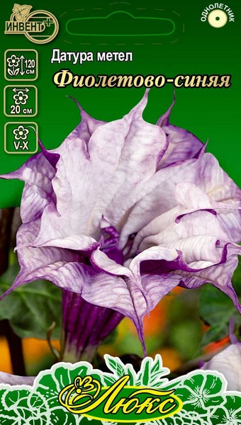 Датура метел. фиолетово-синяя (серия ЛЮКС) ИНВЕНТ+: фото