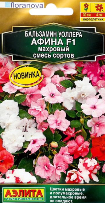 Семена бальзамин Афина смесь, Аэлита: фото