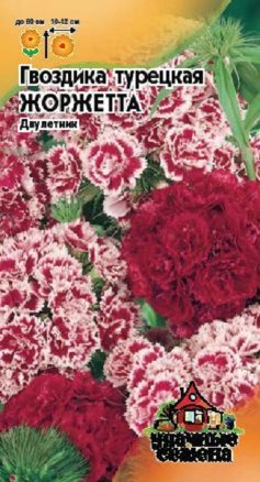 Семена гвоздика турецкая Жоржетта смесь, Гавриш: фото