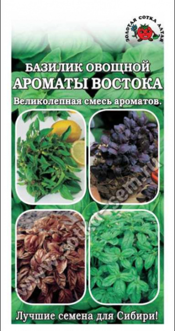 Семена базилик овощной Ароматы Востока, Золотая сотка: фото