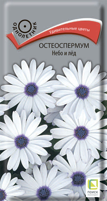 Семена остеоспермум Небо и лед, Поиск: фото