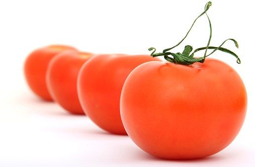 Как выращивать рассаду томатов
