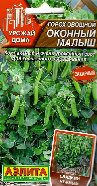 Семена горох овощной Оконный малыш, Аэлита: фото