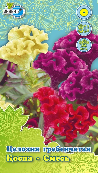 Целозия гребенчатая Смесь, ИНВЕНТ+: фото