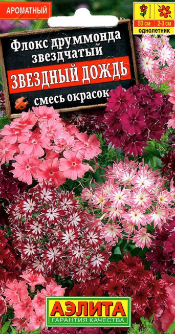 Семена флокс Звездный дождь, смесь, Аэлита: фото