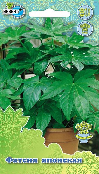 Фатсия японская, ИНВЕНТ+: фото