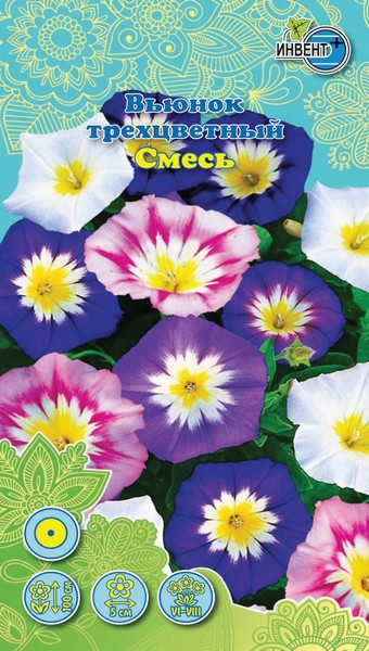 Вьюнок трехцветный Смесь, ИНВЕНТ+: фото