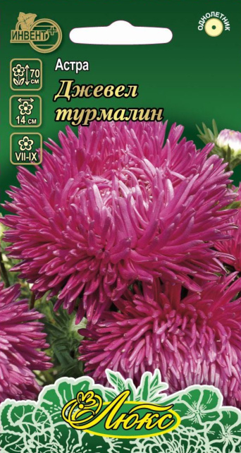 Астра Джевел Турмалин (серия ЛЮКС), ИНВЕНТ+: фото