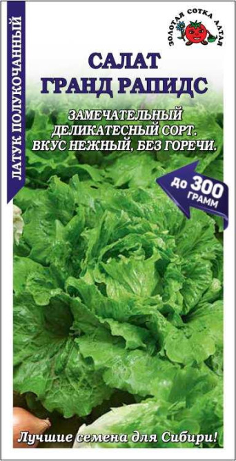 Семена салат полукочанный Гранд Рапидс, Золотая сотка: фото