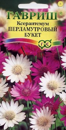 Семена ксерантемум Перламутровый букет, Гавриш: фото
