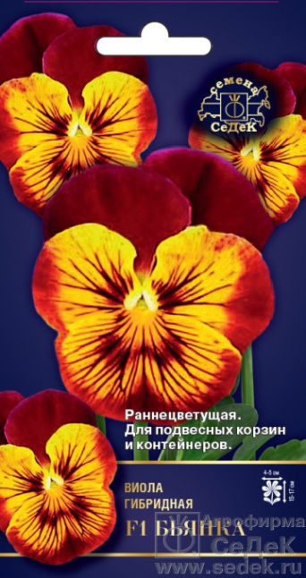 Семена виола Бархатный Вельвет, Золотая Сотка: фото