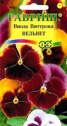Семена виола виттрока (анютины глазки) Вельвет смесь, Гавриш: фото