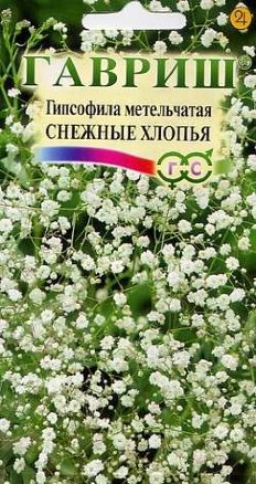 Семена гипсофила метельчатая Снежные Хлопья, Гавриш: фото