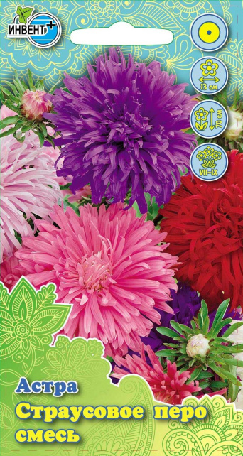 Астра Страусовое Перо смесь ИНВЕНТ+: фото