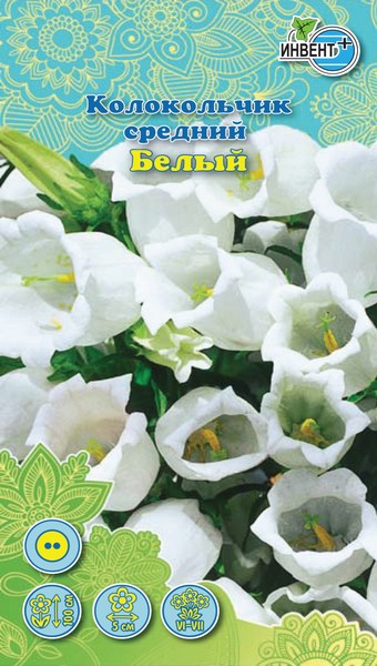 Колокольчик средний Белый, ИНВЕНТ+: фото