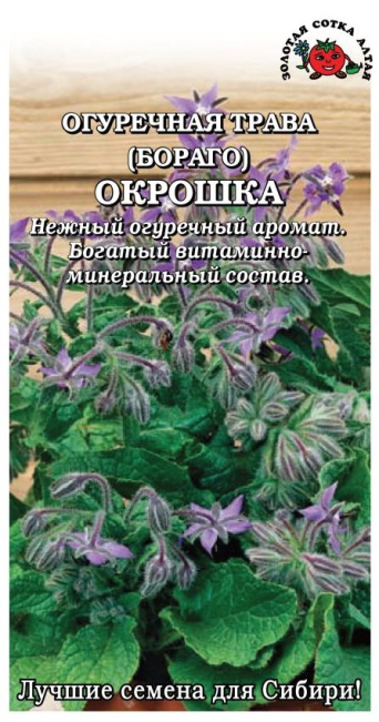 Семена бораго (огуречная трава) Окрошка, Золотая Сотка: фото