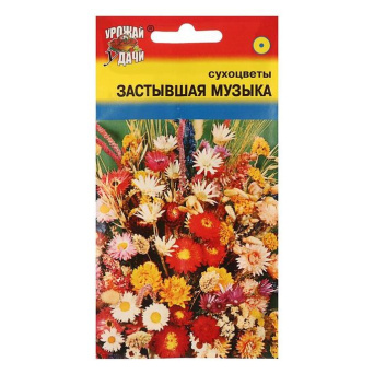 Семена сухоцветы Застывшая музыка, Урожай Удачи: фото