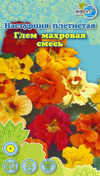 Настурция плетистая Глем смесь ИНВЕНТ+: фото