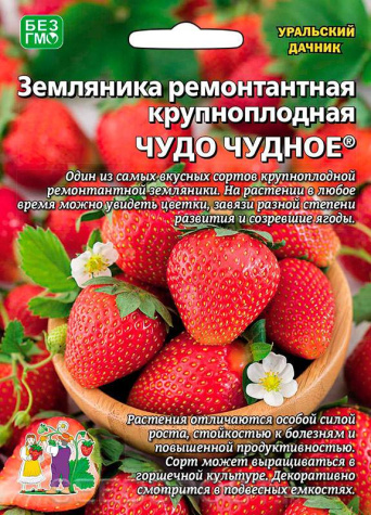 Семена земляника ремонтантная Чудо Чудное, Уральский Дачник: фото