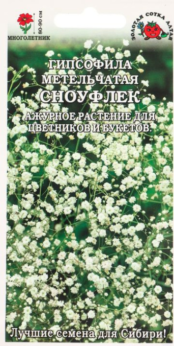 Семена гипсофила метельчатая Сноуфлек, Золотая сотка: фото