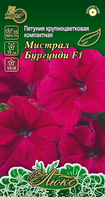 Петуния Мистрал Бургунди F1 (серия ЛЮКС), ИНВЕНТ+: фото
