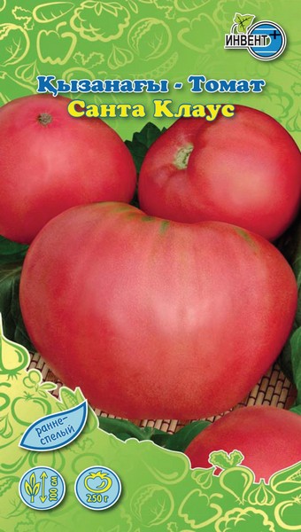 Томат Санта Клаус, ИНВЕНТ+: фото