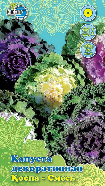 Капуста декоративная Смесь, ИНВЕНТ+: фото