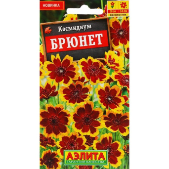 Семена космидиум Брюнет, Аэлита: фото