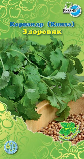 Кориандр овощной (кинза) Здоровяк, ИНВЕНТ+: фото