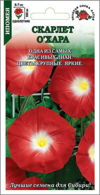 Семена ипомея Скарлет O'Хара, Золотая сотка: фото